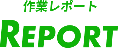 作業レポート